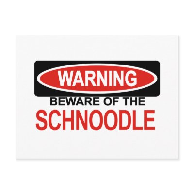 Beware Of Schnoodle Postcards by Bewareofdogs