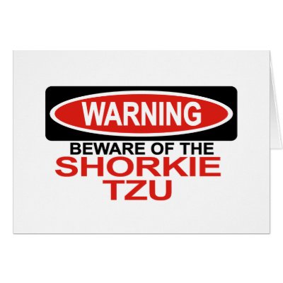 Beware Of Shorkie Tzu Greeting Card by Bewareofdogs