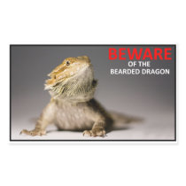 BEWARE of the bearded dragon
