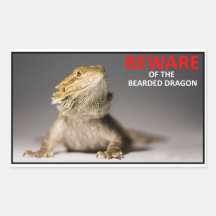 BEWARE of the bearded dragon Stickers