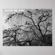 Beware the birds poster