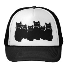 Beware the Black Cat Trucker Hats