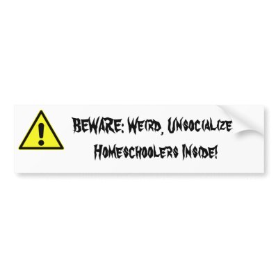 BEWARE: Weird, Unsocialized Homeschoolers Inside! Bumper Stickers by DsyfuntionalHS