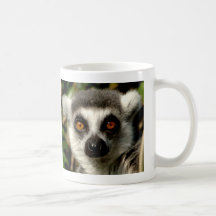 Bewildered Lemur  Mug