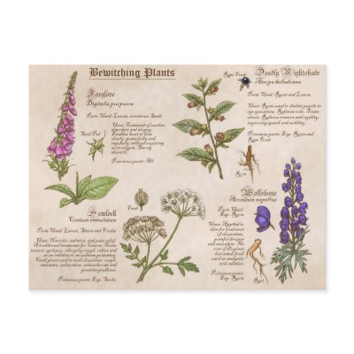 Bewitching Plants Feild Guide Postcard by jennyparks_sci_illus