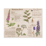 Bewitching Plants Feild Guide Postcard