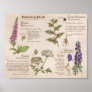Bewitching Plants Feild Guide Print