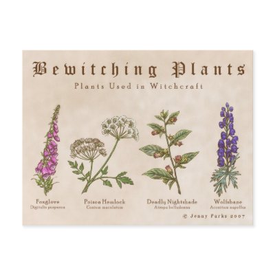 Bewitching Plants Postcard by jennyparks_sci_illus
