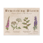 Bewitching Plants Postcard