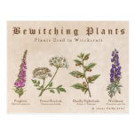 Bewitching Plants Postcard