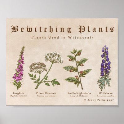 Bewitching Plants Print by jennyparks_sci_illus