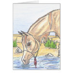 "Beyj bint Ahwa" Greeting Cards