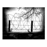 Beyond Postcards