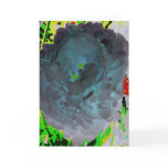 Beyond the blue lagoon cards