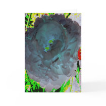 Beyond the blue lagoon cards