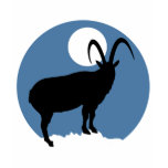Bezoar Ibex t-shirts