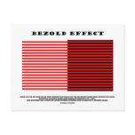 Bezold Effect (Optical Illusion)