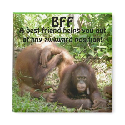 BFF Best Friends Forever Magnets by Rebecca_Reeder