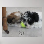 BFF Best Friends Puppy Poster posters