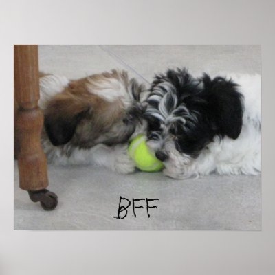 BFF Best Friends Puppy Poster by patsarts