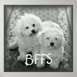 BFFS Cute Dogs Poster Print