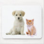BFFs Mouse Mats