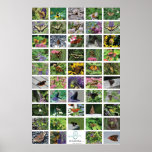 bfly_50_poster posters