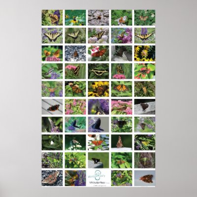 bfly_50_poster by demigail