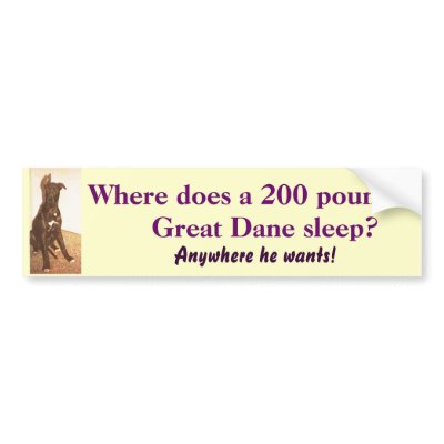 BG-  Great Dane Bumper Sticker by patcallum