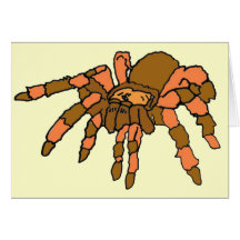 BG- Spider Greeting and Note Cards