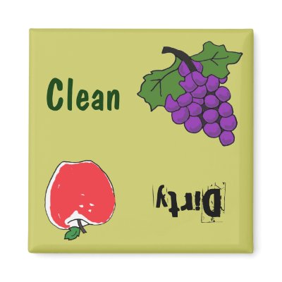 BH- Grapes and Apple Dishwasher Magnet by inspirationrocks