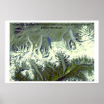 Bhutan Himalayas posters