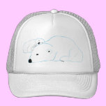 bi-polar hats