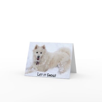 biancasnow, Let it Snow! Greeting Cards by kellyvegan