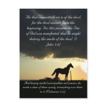 Bible passage, a lovely horse in the sunset postcard