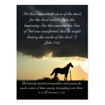 Bible passage, a lovely horse in the sunset postcard