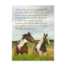 Bible passage, Beautiful horses Postcard