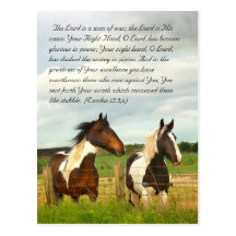 Bible passage, Beautiful horses Postcard