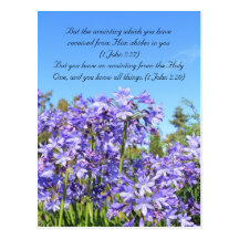 Bible passage, blue flowers & blue sky post card