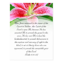 Bible passage, pink lily post cards