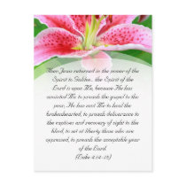 Bible passage, pink lily post cards