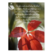 Bible passage, red autumn leaf postcard