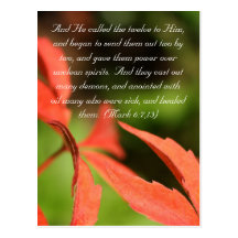 Bible passage, red leaves close up post cards