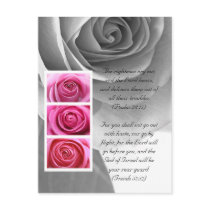 Bible passage, rose close up black and white postcards