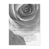 Bible passage, rose close up black and white post cards