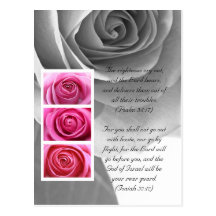 Bible passage, rose close up black and white postcards