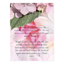 Bible passage, rose floral design postcard