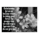 BIBLE SCRIPTURE GALATIANS 6:9 GREETING CARD