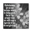 BIBLE SCRIPTURE GALATIANS 6:9 magnets