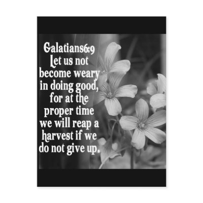 BIBLE SCRIPTURE GALATIANS 6:9 POSTCARDS by scriptures